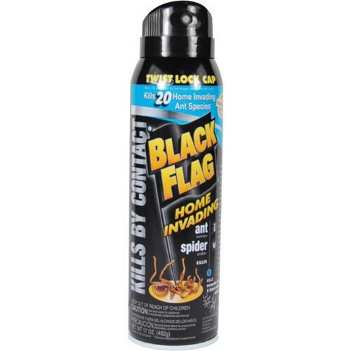 Black Flag Insect Spray Diversion Safe